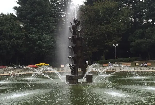 世田谷公園