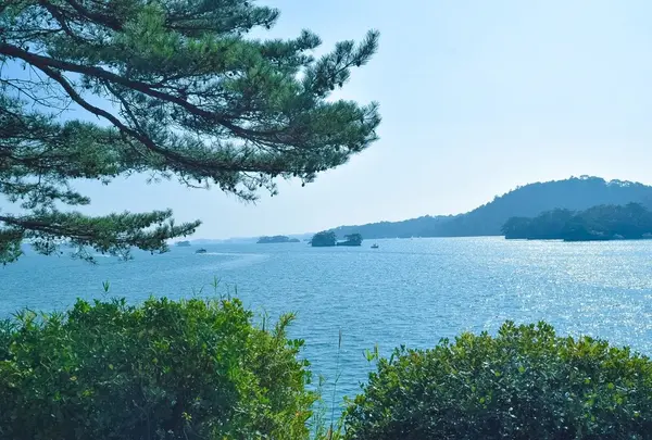 松島〜塩竈の写真・動画_image_153323