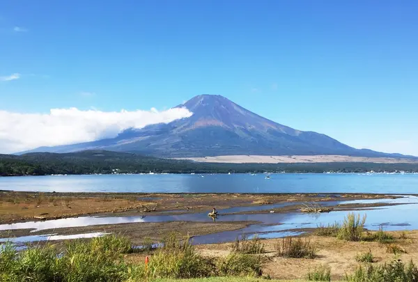 山中湖一周遊覧『白鳥の湖』の写真・動画_image_153345