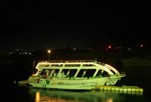 夜光虫クルーズ
