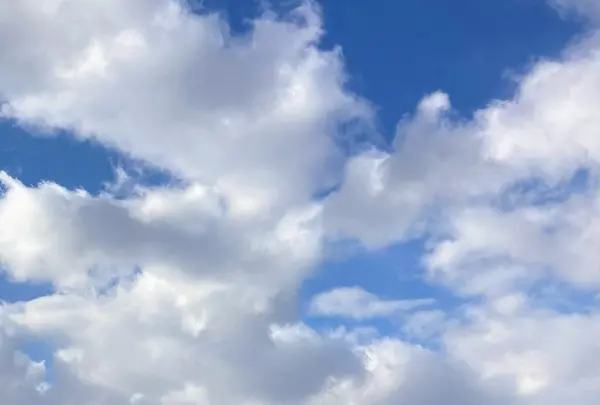 ヒルゼン高原センター ジョイフルパーク 観光バス駐車場