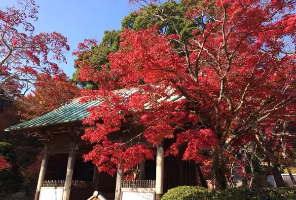 東山寺