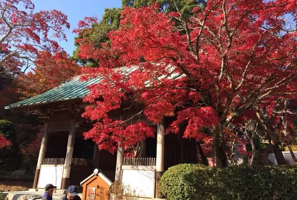 東山寺