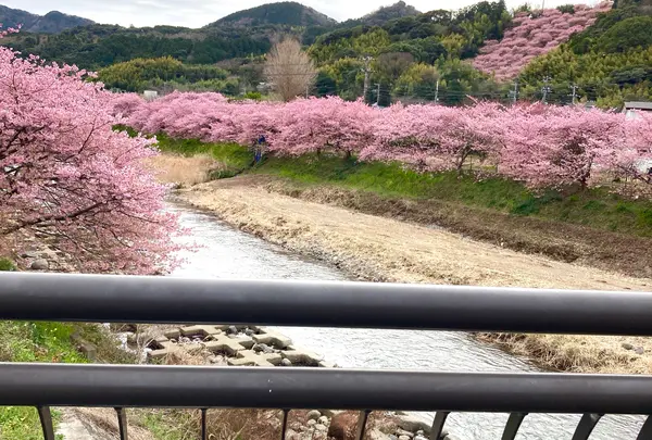 かわづいでゆ橋