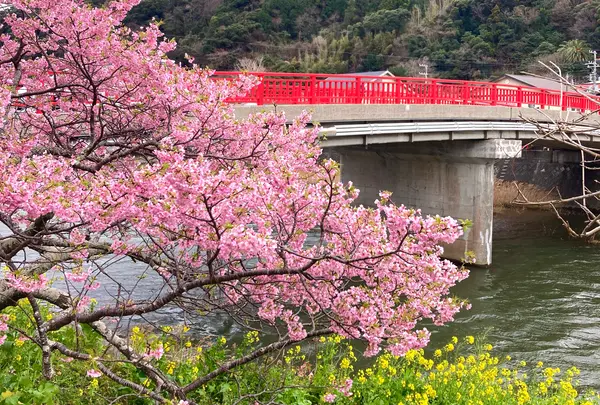 舘橋（静岡県賀茂郡河津町）