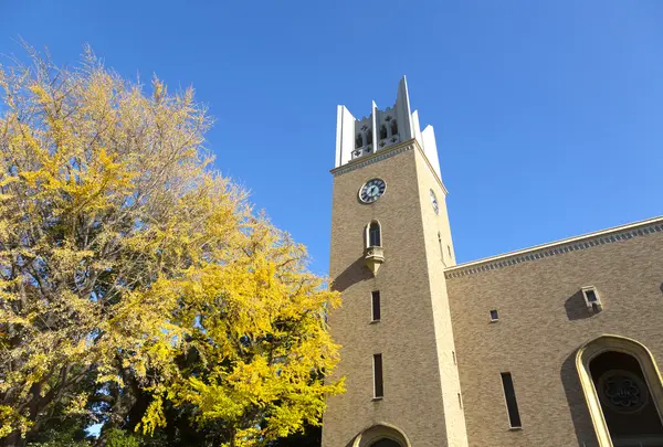 早稲田大学