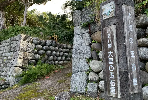 大里の玉石垣の写真・動画_image_1547709