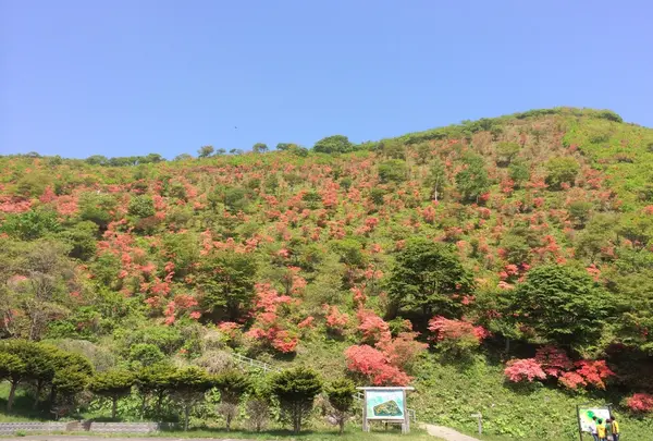 恵山つつじ公園