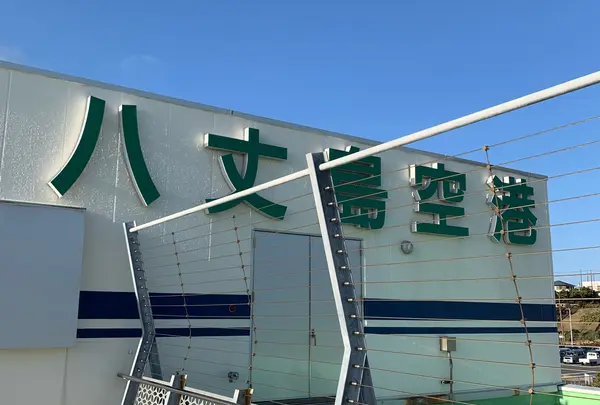 八丈島空港の写真・動画_image_1549662
