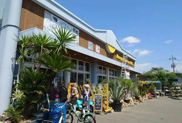 Revys Thomas レヴィ・トーマス