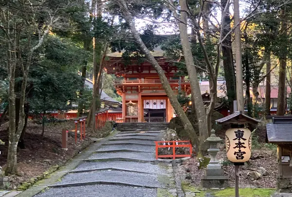 日吉大社の写真・動画_image_1556157
