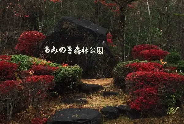 もみのき森林公園