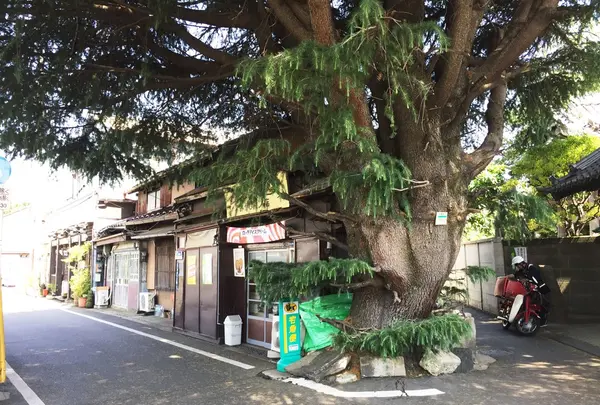 谷中