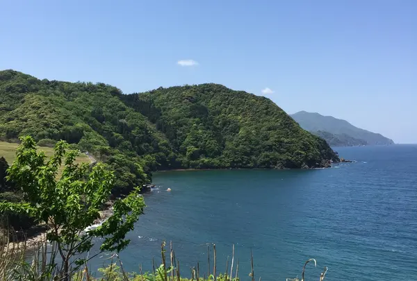田烏海水浴場の写真・動画_image_156934