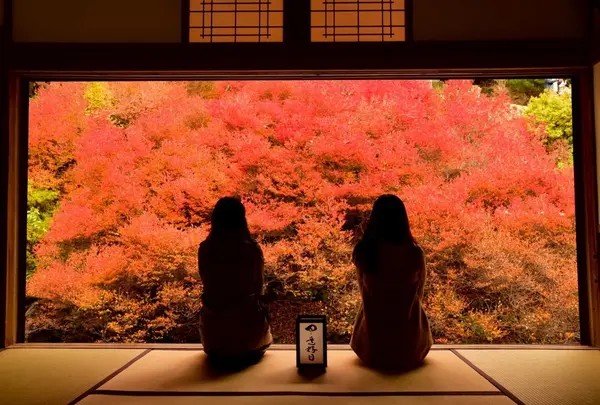但馬安国寺の写真・動画_image_157007