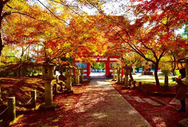 高山寺