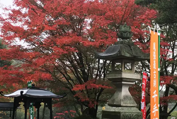 寂光院の写真・動画_image_157246