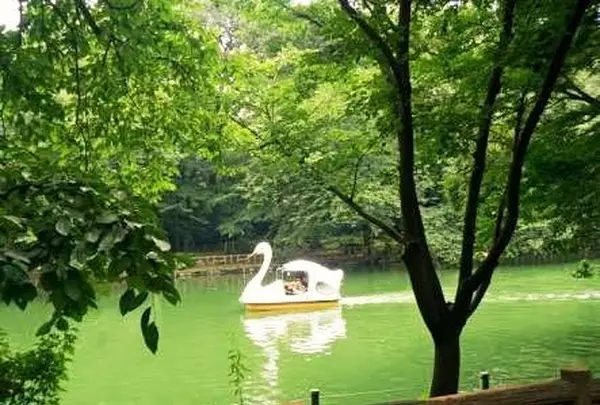 井の頭恩賜公園