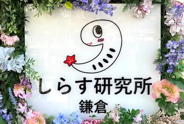 しらす研究所鎌倉