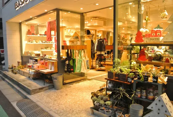 BASIC and ACCENTの写真・動画_image_157579