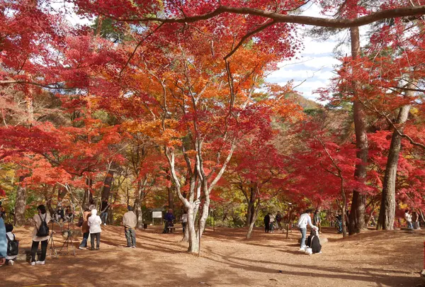 月の石もみじ公園