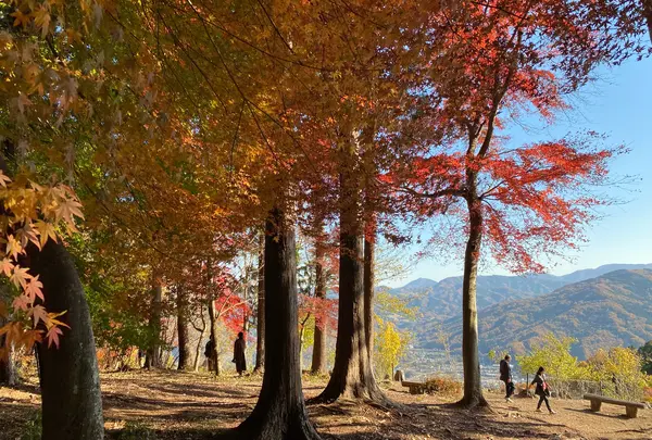 宝登山