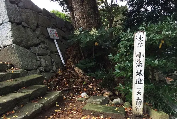 小浜城址