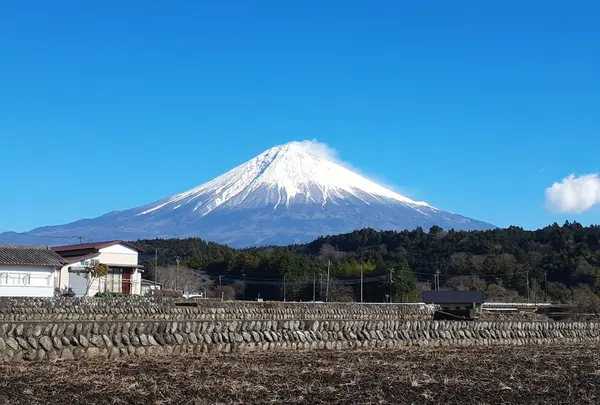 富士錦酒造