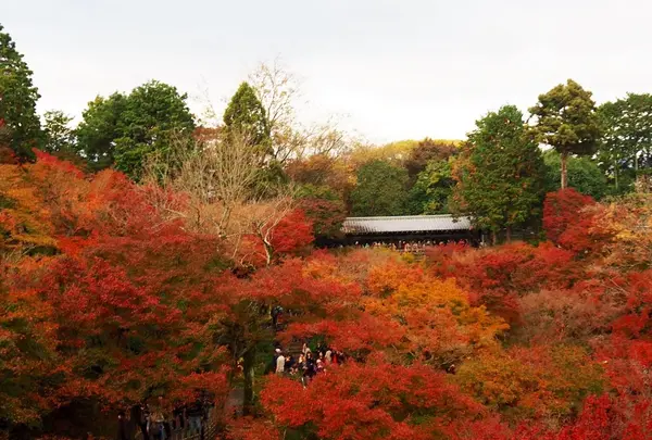 東福寺