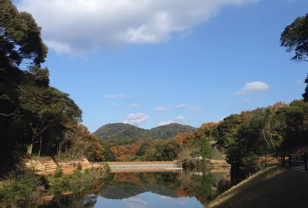 八ヶ尻池の写真・動画_image_158899