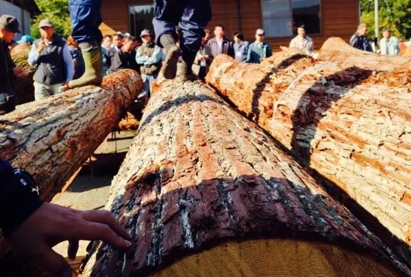 （有）穴井木材工場