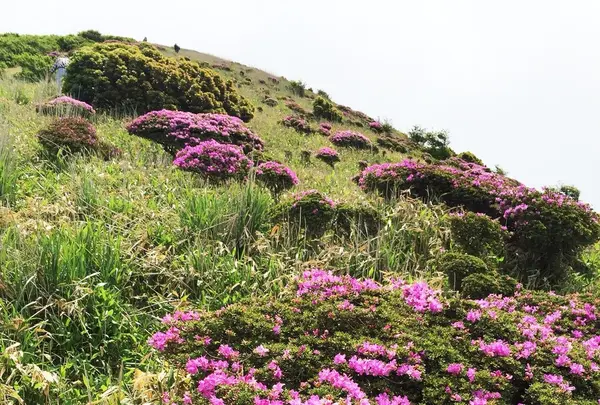 涌蓋山