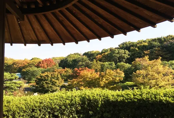 大仙公園・日本庭園の写真・動画_image_159979