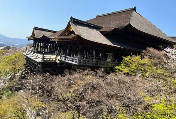 清水寺の写真・動画_image_1604925