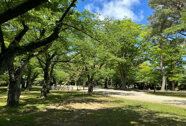 千秋公園の写真・動画_image_1606696