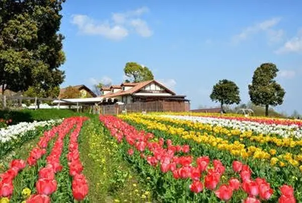 緑のミュージアム　ハーベストの丘