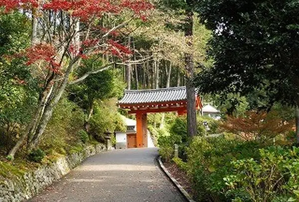 三室戸寺