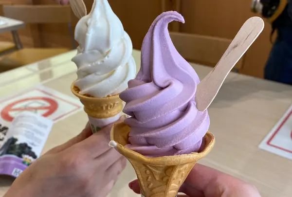 鶴の舞橋観光施設 ここにもあるじゃの写真・動画_image_1610198