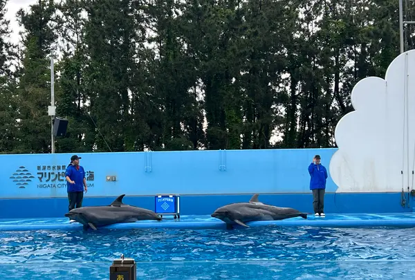 マリンピア日本海の写真・動画_image_1616554