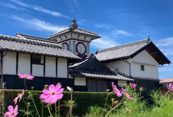 野良時計の写真・動画_image_1616775