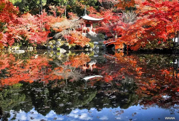 醍醐寺