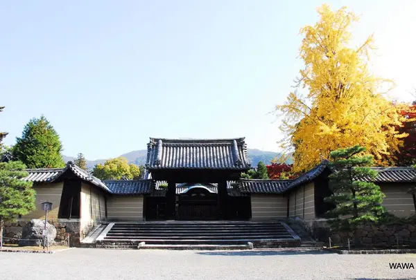 随心院