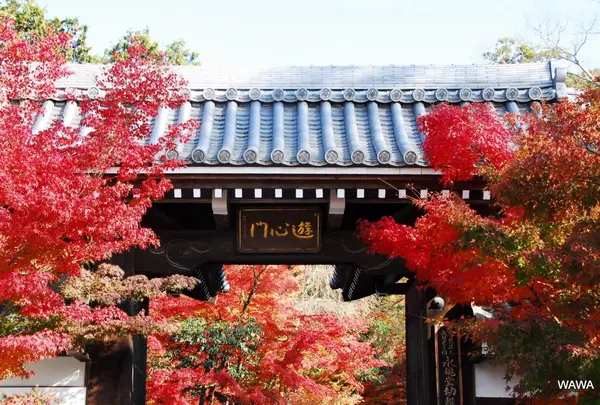 永観堂（禅林寺）