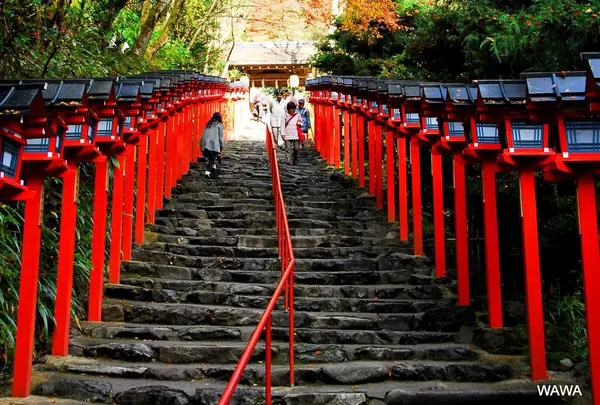 貴船神社から鞍馬山に登る
