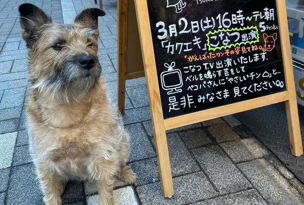(有)ペットショップつるや