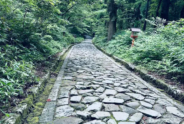 石畳の参道の写真・動画_image_1626155