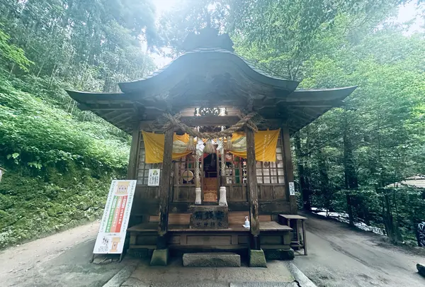 金持神社の写真・動画_image_1626162