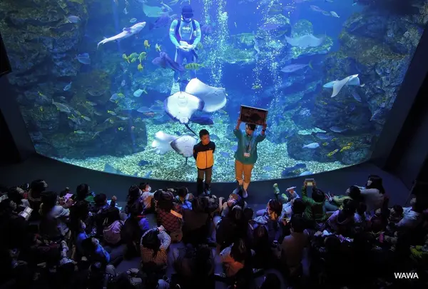 京都水族館の写真・動画_image_162698