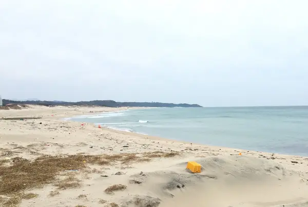 波子海水浴場の写真・動画_image_162848