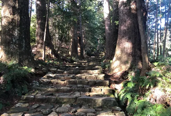熊野古道大門坂